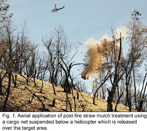 Fig. 1 -- Aerial application ofpost-fire straw mulch treatment using a cargo net suspended below a helicopter which is released over the target area.