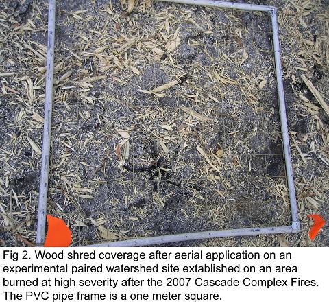 Fig. 2 -- Wood shred coverage after aerial application on an experimental paired watershed site...