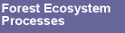 Forest Ecosystem Processes