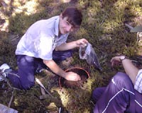 crew member collects forest floor sample