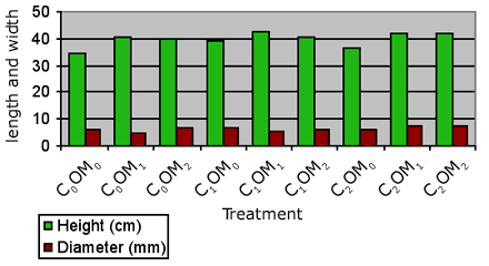 Graph showing height and diameter of Western Larch (Laoc) seedlings 1 year after planting for 9 treatments - C0OM0: height = 34.48217 cm, diameter = 6.273158 mm; C0OM1: height = 40.33791 cm, diameter = 4.496311 mm; C0OM2: height = 39.96142 cm, diameter = 6.739314 mm; C1OM0: height = 39.37577 cm, diameter = 6.975273 mm; C1OM1: height = 42.28924 cm, diameter = 5.569388 mm; C1OM2: height = 40.32717 cm, diameter = 5.99694 mm; C2OM0: height = 36.60871 cm, diameter = 5.757652 mm; C2OM1: height = 42.15423 cm, diameter = 7.587803 mm; C2OM2: height = 41.81406 cm, diameter = 7.417122 mm