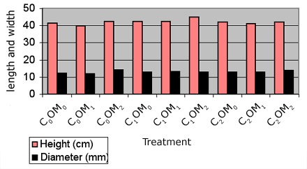 Graph showing height and diameter of Ponderosa Pine (Pipo) seedlings 5 years after planting for 9 treatments - C0OM0: height = 41.1875 cm, diameter = 12.28875 mm; C0OM1: height = 39.73333 cm, diameter = 11.8225 mm; C0OM2: height = 42.38333 cm, diameter = 13.97667 mm; C1OM0: height = 42.34167 cm, diameter = 12.74167 mm; C1OM1: height = 42.23333 cm, diameter = 13.2425 mm; C1OM2: height = 44.71667 cm, diameter = 12.96333 mm; C2OM0: height = 42.07914 cm, diameter = 12.93525 mm; C2OM1: height = 40.86667 cm, diameter = 12.73833 mm; C2OM2: height = 41.89286 cm, diameter = 13.80643 mm