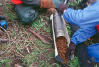 Soil cores being collected