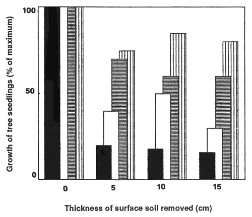 Growth of Douglas-fir seedlings in four eastern Washington soils after removal of successive surface soil layers.