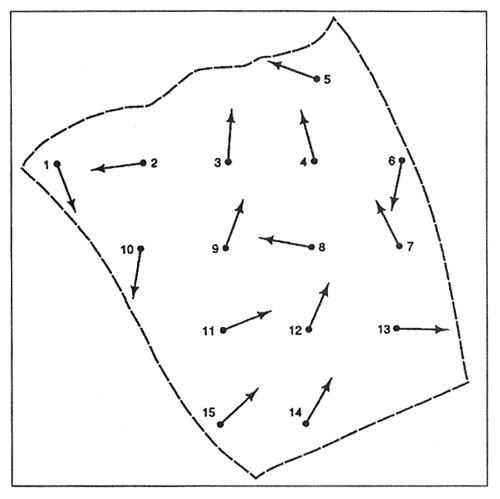Diagram showing 15 transects within a study plot.