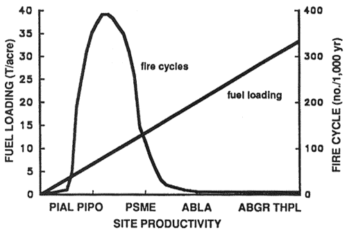 Graph showing relationship of fire cycles and fuel loading for various habitat types.