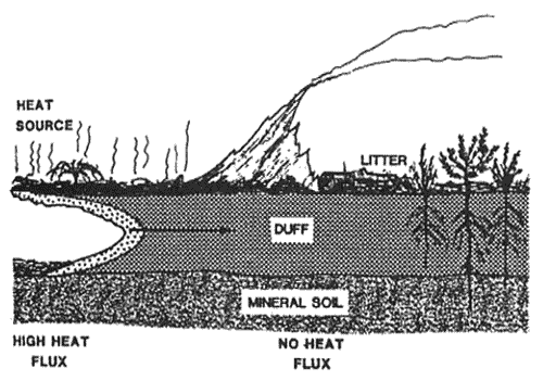 Diagram showing heat flux to the mineral soil where duff burning is the heat source.