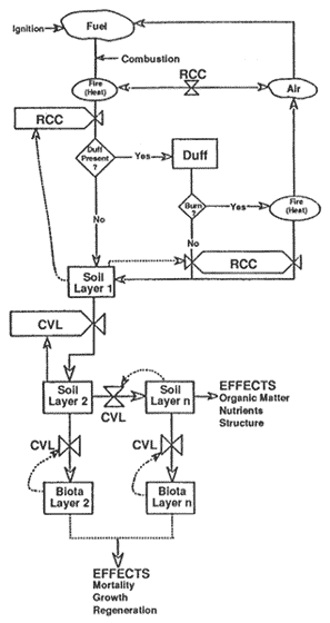 Complex flow chart diagraming downward heat pulse from fire into the soil and biological systems.