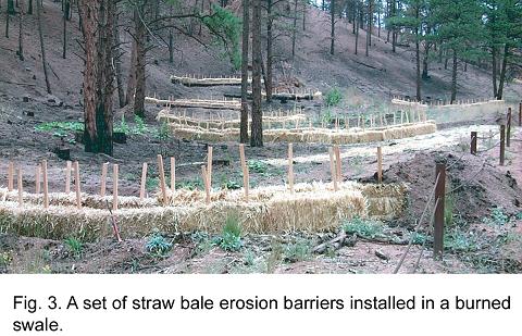 Fig. 3 -- A set of straw bale erosion barriers installed in a burned swale.