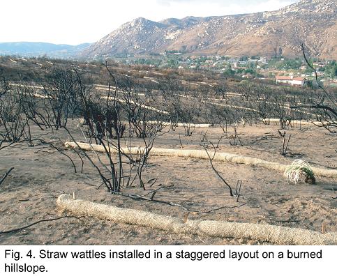 Fig. 4 -- Straw wattles installed in a staggered layout on a burned hillslope.