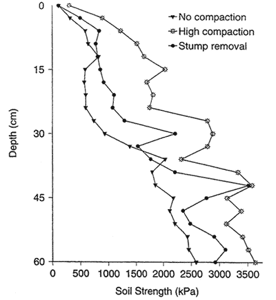 graph showing soil strength (kPa) as affected by no compaction, severe compaction and stump removal