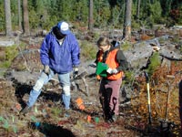 Forest service crew taking soil strength measurements
