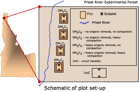 Schematic of plot set-up: Five plots shown in their locations within the north Idaho Priest River Experimental Forest