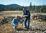 Debbie Page-Dumroese and Martin F. Jurgensen working at an LTSP site in British Columbia, Canada