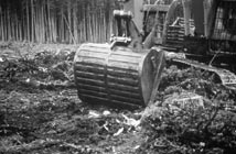 Forest floor removal by machine at LTSP site in British Columbia, Canada