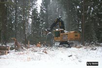 Winter logging at an LTSP site in British Columbia