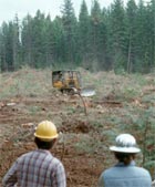 Compaction treatment applied with bulldozer at Priest River LTSP site