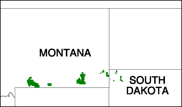 Map of Custer National Forest