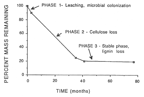 Graph showing phases of decomposition in red pine needles in Massachusetts